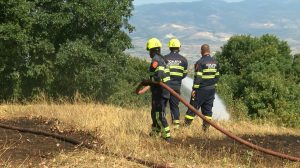 Невработени му пишувале на Стојачне Ангелов на фејсбук за да помагаат околу пожарите за 20 илјади денари