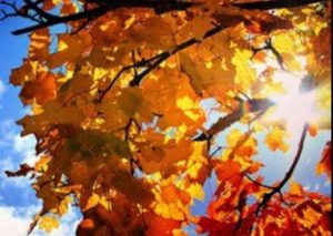 Сончево со мала до умерена облачност, релативно топло- Временска прогноза за 13.12.2025