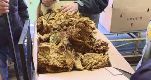 Со законот за заштита од пушење ќе се поттикне сива економија- алармираат од тутунска индустрија