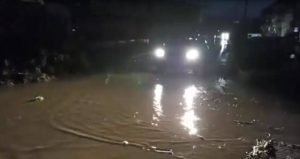 Силно невреме предизвика штети во Делчево, паднати дрвја на повеќе патни правци