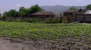 Одлуката да се стопираат средствата од ИПАРД 3 го вклучи алармот во јавноста