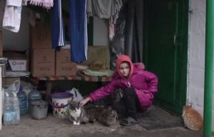 Колапс на женските организации во светот додека потребите достигнуваат историски нивоа