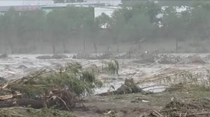 Поплавите во Индонезија однесоа над 500 животи