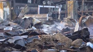 Силен земјотрес го погоди североисточниот дел на Јапонија