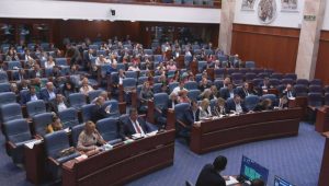 Пратениците со волнетрски активности за Светскиот ден на волнтерството