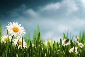 Прeтежно облачно. По одделни котлини ќе има услови за појава на утринска магла – Временска прогноза за 2.3.2025