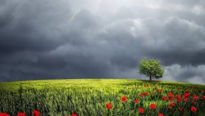 Променливо облачно, попладне ќе има повремени локални врнежи од дожд – Временска прогноза за 23.3.2026