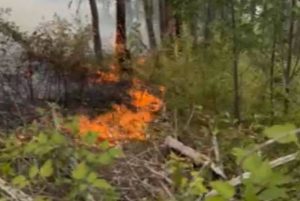 Пожарите во Јасен и Јажинце се во фокусот на надлежните