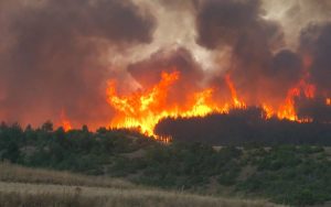 Потпалувала од фрустрација – 76-годишна жена призна дека подметнала 11 пожари во Франција