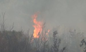 Сè уште активен пожарот на вториот крак на Халкидики