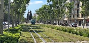 Струјата полека се враќа, полицијата во Шпанија и Португалија го чува редот- заглавени патници на аеродромите