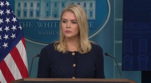 Бела куќа: Испраќањето на европски трупи на Гренланд нема да влијае врз ставот на Трамп