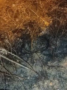 Остатоци од запалена гума кај пожарот до Смилковци-  истрагата утврдува дали пожарот е подметнат, казните за намерно предизвикување шумски пожар се најмалку 8 години затвор