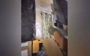 (ВИДЕО) Запленетa дрог во вредност од 2,7 милиони евра на пристаништето Игуменица