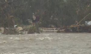 Бројот на жртви во Тексас расте, меѓу нив и девет деца