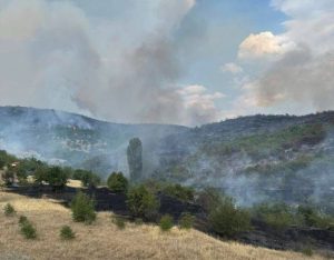 Пожарникарите наишле на запалени палети и мирис на бензин – Ангелов за пожарот во Чучер Сандево