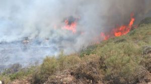 Четири активни пожари на територијата на државата