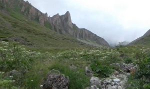 Совесноста на луѓето најголемата превенција од пожари во шумите и планините