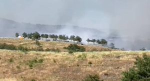 Пеполасни 15-на хекари зимзелена и нискостеблеста шума во пожарот кај Кочани