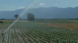 Стопирана ИПАРД 3 програмата?