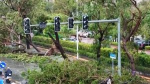 Видео: Тајфунот Калмаеги пустоши во Југоисточна Азија, над 190 загинати