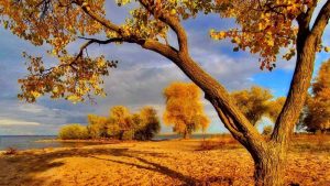 Сончево со мала до умерена облачност, во котлините наутро со појава на магла – Временска прогноза за 31.10.2025