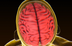 Граѓаните со голем интерес на бесплатните прегледи по повод Светскиот ден на мозочен удар
