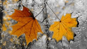 Променливо облачно со повремени врнежи од дожд- Временска прогноза за 4.11.2025