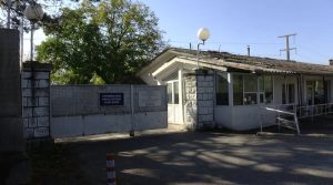 Гласаат 1.256 затвореници и притворени лица