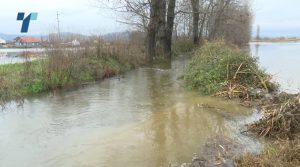 По поплавите во Чешиново Облешево – на населението му треба питка вода за пиење, приоритет е и дезинфекција на поплавените места