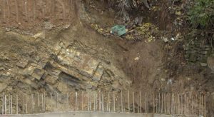 Над 100 луѓе загинаа во свлечишта во Етиопија