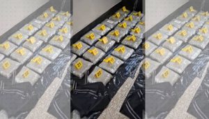 (Видео)Албански државјанин лишен од слобода – пронајдени 62 пакувања марихуана во неговото возило