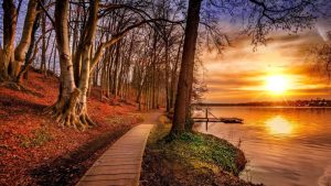 Сончево, во утринските часови наместа зголемена облачност – Временска прогноза за 14.12.2025