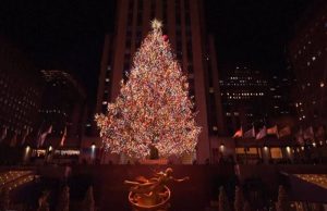 Норвешка смрека со 50.000 ЛЕД сијалички – новогодишната елка на центарот Рокфелер блесна во Њујорк