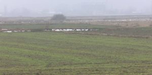 Закочена е есенската сеидба – јачменот и пченицата сè уште не се завршени, велат земјоделците