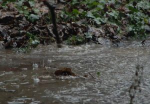 Реките надојдени, предупредувања за можни нови поплави