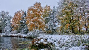 Oблачно со повремени локални врнежи од снег, на пониските места од дожд и снег – Временска прогноза за 10.1.2026