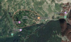 Галичник е отсечен од светот од 8-ми јануари, тврди жителка на селото- никој не го чисти делот од патот покриен со снег