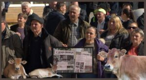 АХВ го искара градоначалникот на Крива Паланка за кравите