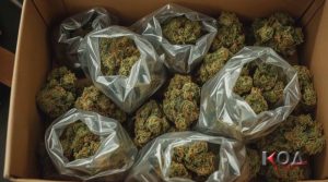 Од Свети Николе до Крушевац пренесени тони и тони марихуана, осомничени 6 лица