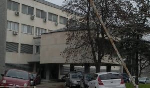 Обвинителство ќе го проверува трансферот на мозоци во САД