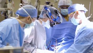 Многумина знаеле за научниот извоз на македонски мозоци во САД – но дали се било законски или е потребна истрага