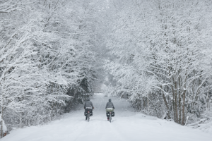 ЗИМА НА БАЛТИКОТ – петок, 13 февруари 2026 – 20:30