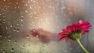 Променливо облачно со повремени локални врнежи од дожд – Временска прогноза за 5.3.2026