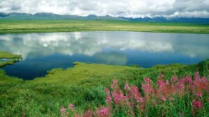 Променливо облачно со повремени локални врнежи од дожд – Временска прогноза за 19.3.2026