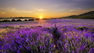 Претпладне сончево, попладне наместа ќе има услови за локални слаби врнежи од дожд – Временска прогноза за 16.3.2026