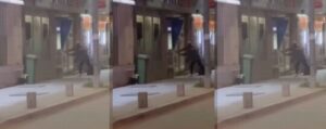 Жена приведена во Ресен при обид за кражба
