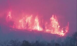 (Видео) Пожари во Франција: Десетици илјади луѓе се евакуирани