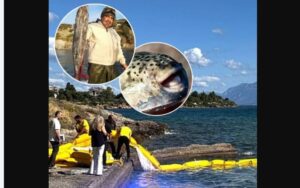 (Фото/Видео) Грција објави мапа која покажува каде е опасната риба-зајак