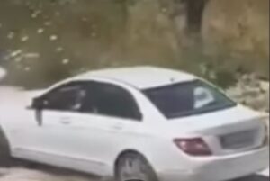 Притвор од 72 часа за македонската државјанка која прегази куче во Црна Гора